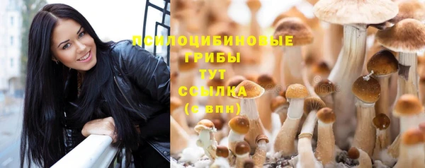 скорость Баксан