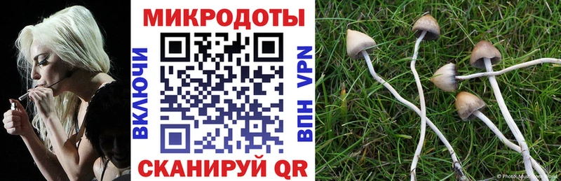 закладка  Слободской  ссылка на мегу маркетплейс  Псилоцибиновые грибы Cubensis 